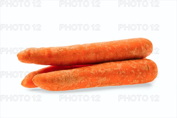 Fresh carrot isolated on white background