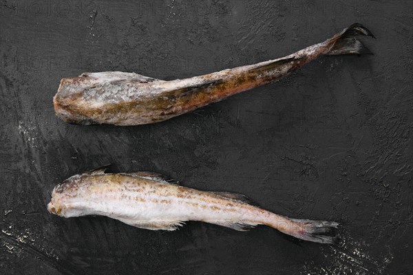 Frozen raw pollock carcass on wooden table