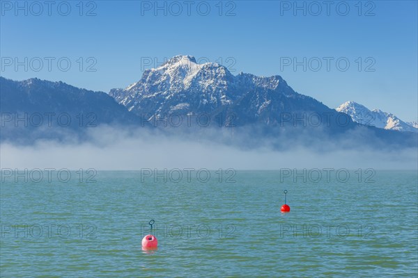 Morning atmosphere at the Forggensee