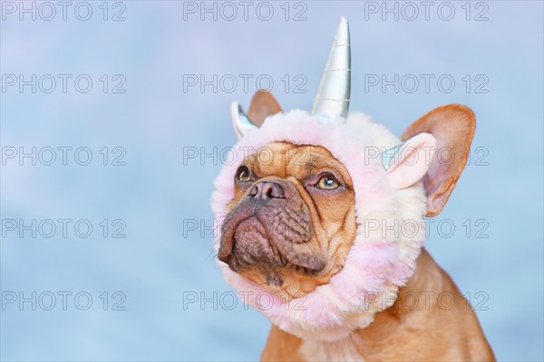 French Bulldog dog wearing funny unicorn costume headband in front of blue background with copy space