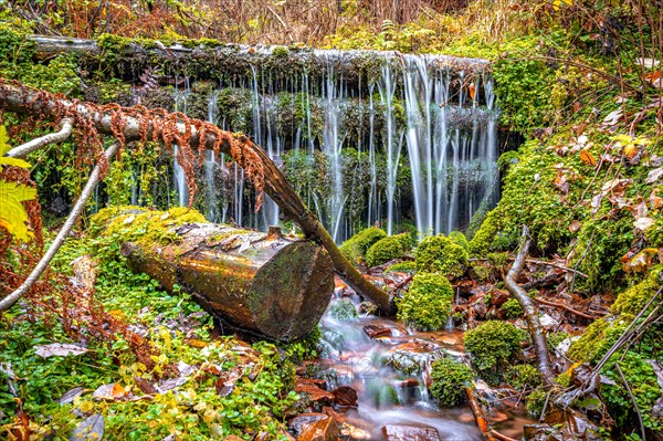 Long exposure of a small stream with a small waterfall in the Schoenjungferngrund in the Erzgebirge below the Fichtelberg