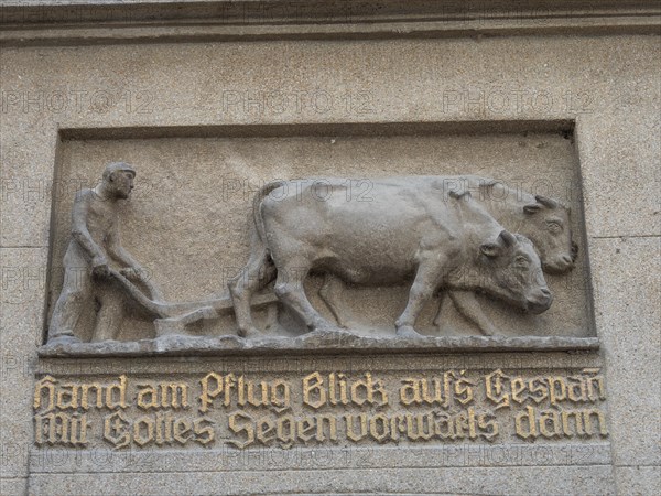 Oxen pulling a plough