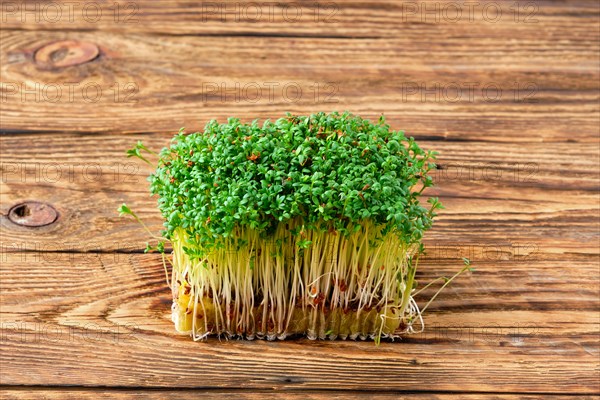 Fresh microgreens. Sprouts of watercress on wooden background