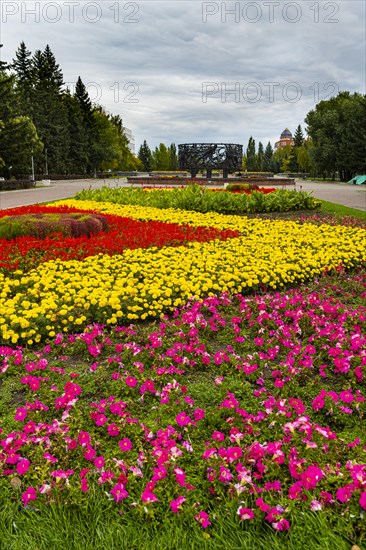 Flower beet in the Veteran park