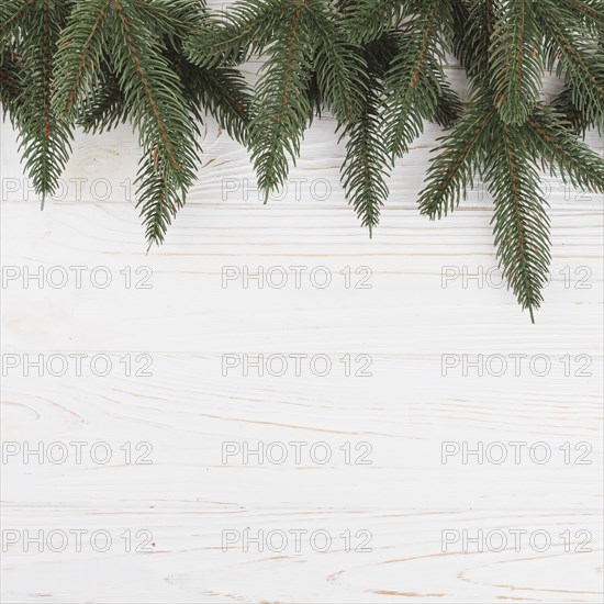 Green fir tree branches table