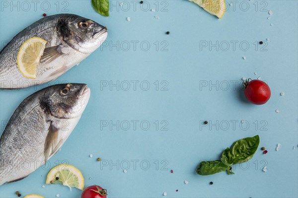 Uncooked seafood fish veggies. Resolution and high quality beautiful photo