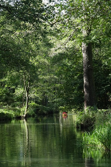 Spreewald in autumn