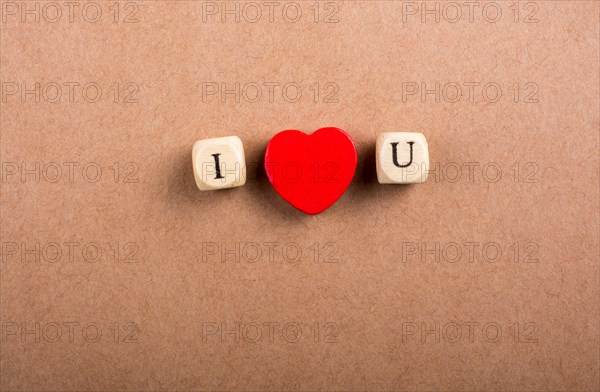 Phrase I Love You Made from Letter Cubes in in hand