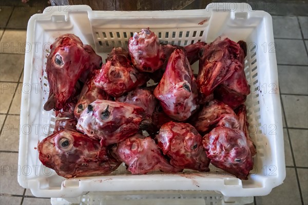 Raw meat at a stall