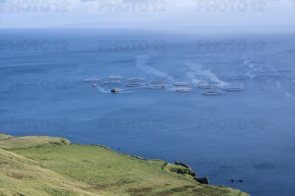 Fish farm in the sea