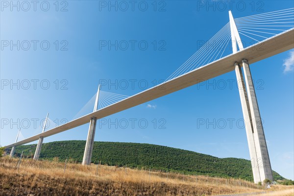 Millau Viaduct bridge