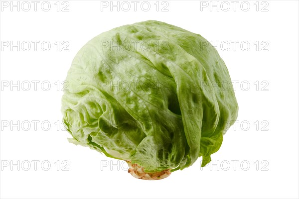 Fresh iceberg lettuce isolated on white background