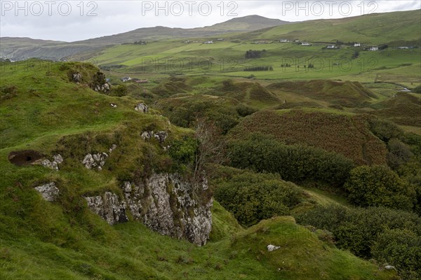 Fairy Glen