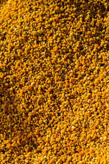 Bee pollen as healthy organic raw diet food ingredient