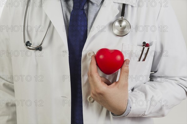 Doctor showing plastic heart