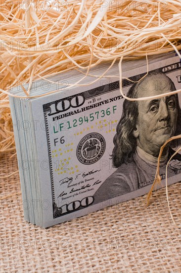 Banknote bundle of US dollar in a straw pile on canvas