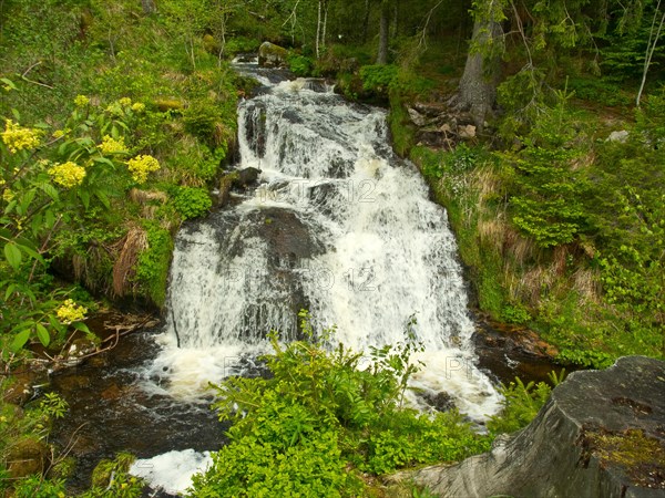 Cascade of the Menzenschwander Alb