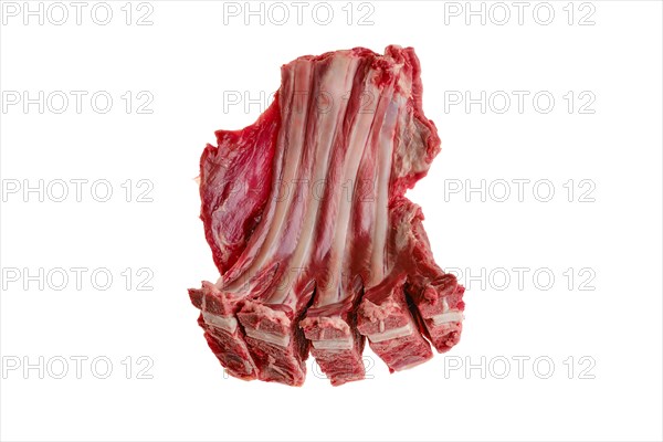 Raw fresh deer ribs isolated on white background