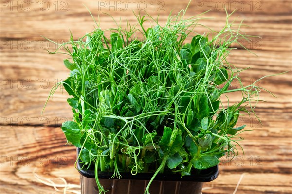 Closeup view of sprouts of peas on wooden background