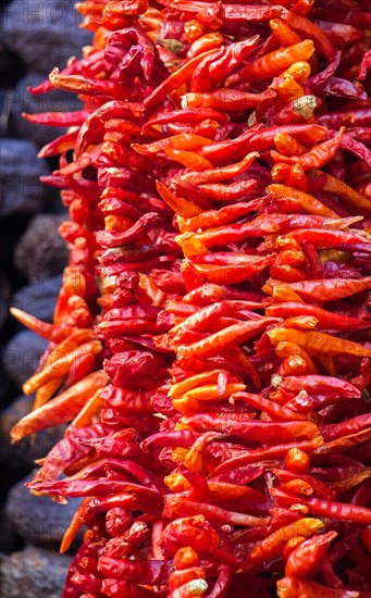 Dried peppers and aubergines and colourful spices in the Spice Market