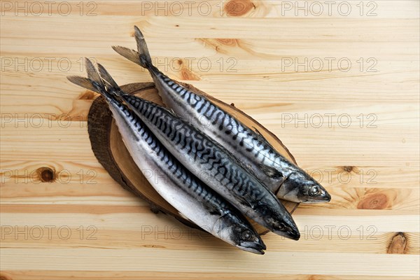 Frozen mackerel on wooden table