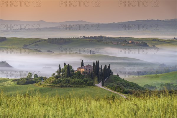 Podere Belvedere