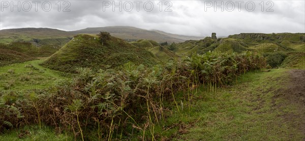 Fairy Glen