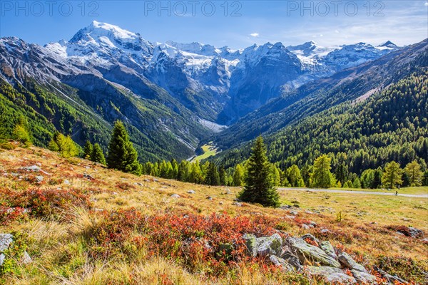 Panorama of the valley with Ortler 3905m and Trafoier ice wall 3565m in early autumn