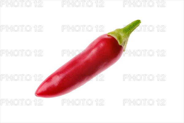 Whole baby jalapeno pepper isolated on white background