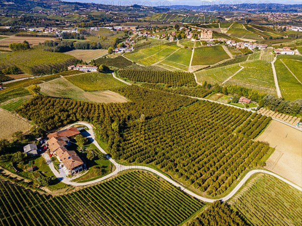 Aerials of the wineyards around Castle of Grinzane Cavour