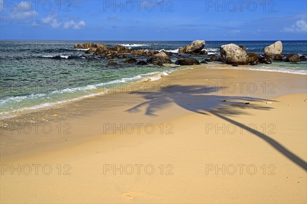 Dream beach Glacis Beach in the evening with shade of a coconut palm