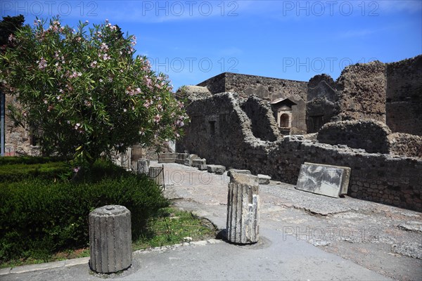 At the Baths of the Forum