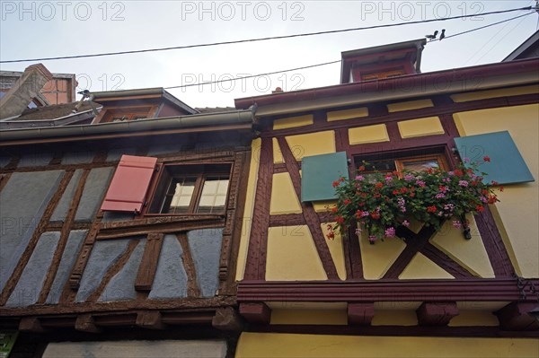 Colourful half-timbered houses in the historic old town of Eguisheim