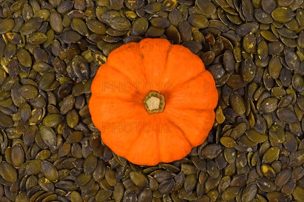 Small orange squash surrounded by green pumpkin seeds