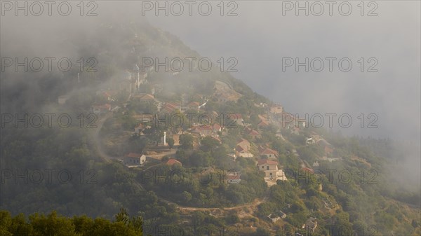 Exogi village