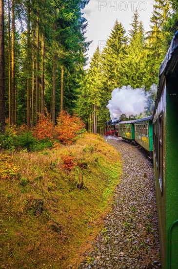 The Fichtelberg Railway travels through the coniferous forest in the Ore Mountains in autumn