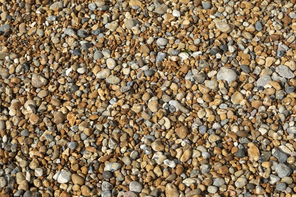 Stones on the Beach