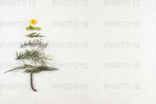 Christmas tree from branches