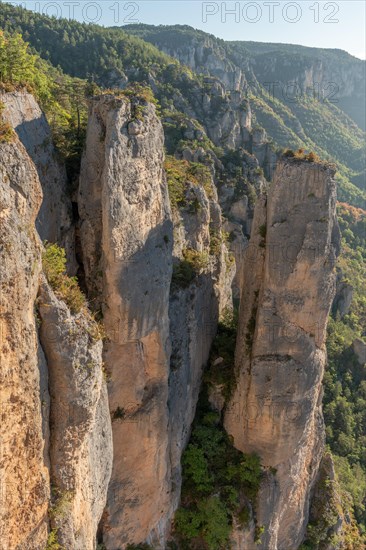 Landscape of a wild and preserved valley