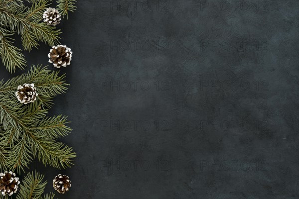 Chalkboard with pine needles cones