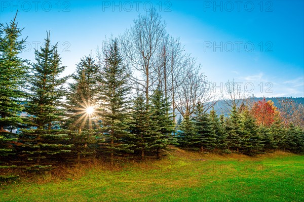 Sun star in autumn under a blue sky