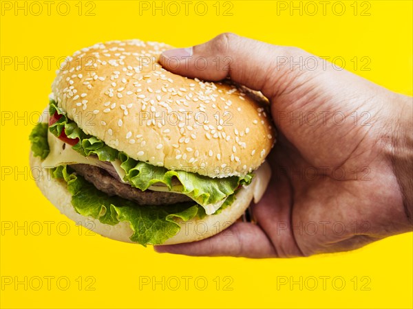 Man holding cheeseburger with seeds. Resolution and high quality beautiful photo