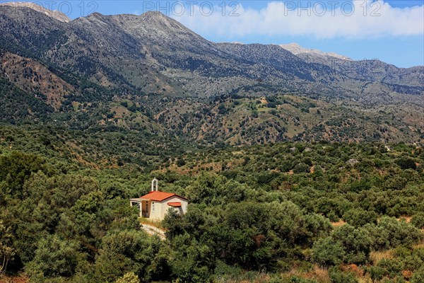 Small church surrounded by olive trees in the Levka Ori area