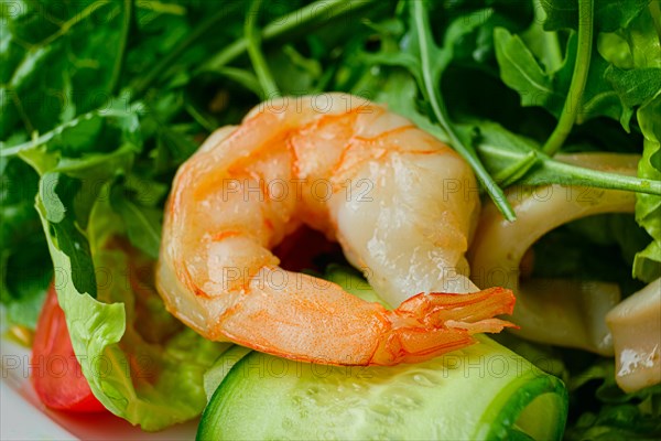 Macro photo of shrimp in salad with cucumber