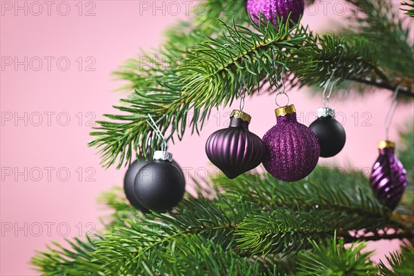 Close up of beautiful purple glass tree bauble with violet and black decorated Christmas on light pink background