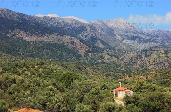 Small church surrounded by olive trees in the Levka Ori area