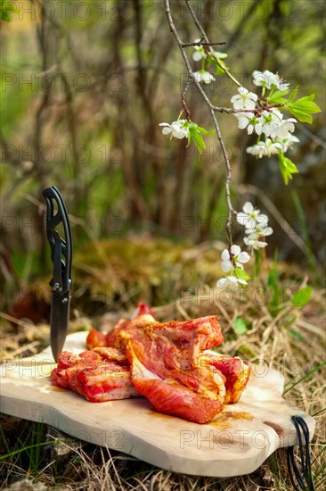 Fresh pork ribs with salt and pepper on cutting board outdoor. Selective focus photo