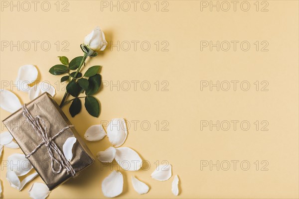 Present with rose petals copy space