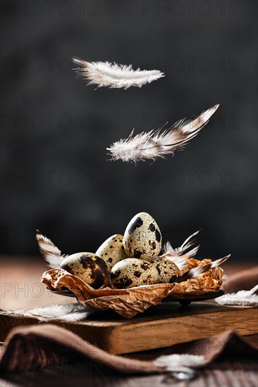 Feathers falling on a bowl with quail eggs