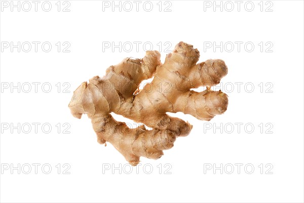 Fresh ginger root isolated on white background